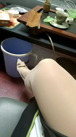 母狗姐姐