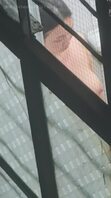 骚屄和男人洗澡了