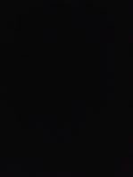 04大屁股留学母狗手指塞屁眼后入