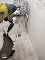 最全女野王妖媚婷儿1