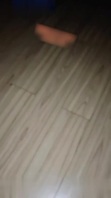 少年爱妈妈