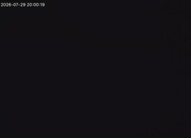 儿子和老婆实质性突破，二十一帖
