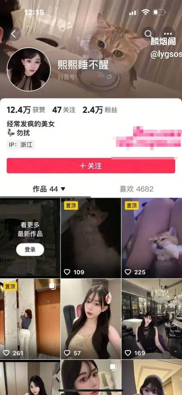 杭州赵某凤 卖淫翻车记