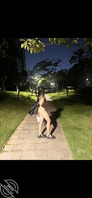 寮步有哪里适合野战的？
