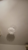 深圳人妻家中的风情万种