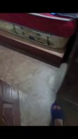 骚肥猪亲妹10 妹妹真是个游戏狂 操逼也阻止不了她玩游戏