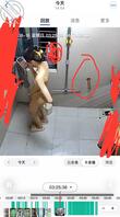 普通贴，终于套到了女儿的鲍鱼图了。1