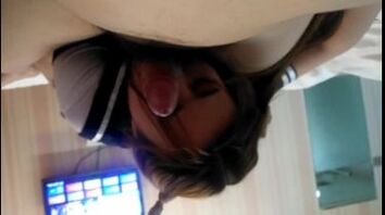 我和大猫的日常