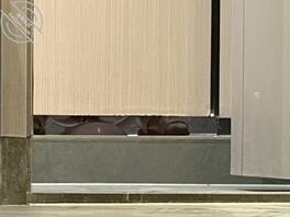 拍照不易，多多支持2