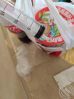 想出去操妹妹来着结果前一天发生病了。真糟糕。1