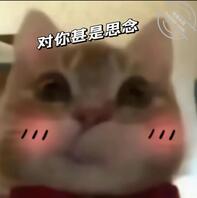 找点重庆的渣女来榨干我0