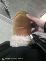 扫楼打胶      姐妹预告1