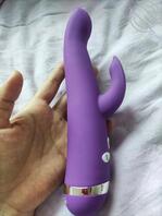 我和我的岳母大人2