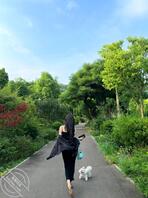 原创十四，买着酒和菜回去给姐姐一个惊喜，气氛达到了一个暧昧的地步！2