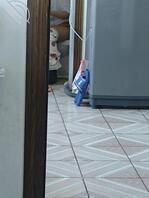 恋母的伪娘偷拍自己妈妈上厕所2