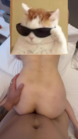 广州白云区寻固定女伴