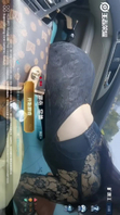 与绿帽奴熟女阿姨的片段