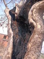 大龄妈妈牌挂件2