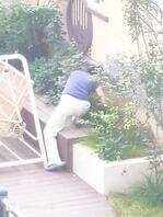 岳母。丈母娘1