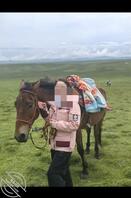 献母 欢迎野爹 绿母0