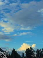 昆明官渡区寻找厕拍，偷拍大神，会跟拍胆子大的来上一个