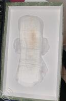 骚香味的姨妈巾好爱  顺便收藏一下这些美人的逼毛