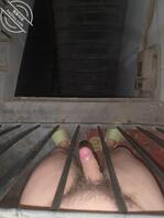 户外露出拍照  互玩鸡把的 有没 天津或者河北1