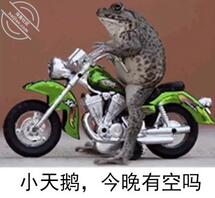 冠县寻少妇，女大，女高