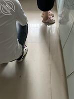 聊聊让儿子和老婆乱伦这事，第十五帖1