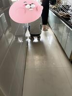 聊聊让儿子和老婆乱伦这事，第十五帖2