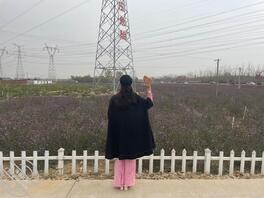 2.这些年的熟女姐姐0
