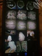 偷表妹袜子打飞机0