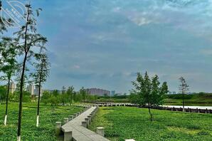 男神不理我了，我该怎么办。