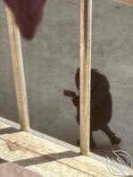 还是潜入。发现新买的内衣，买了同款换回来一套拿回去玩2