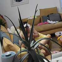 和老婆在沙发69