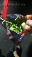 偷菜路上，蹲在电动车里吮吸肉棒。