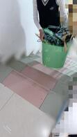 33.小兰她妈来我家了！1