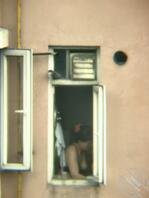 上次用激光笔晃了一下她，好像被吓到了，窗帘也不开了，今天又被我抓到了0