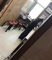 想入我妈，绿母癖0