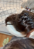 【14视频贴】表妹的姨妈走了，内射她刺激的喷了！2