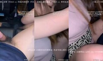 美少妇姐姐口交车震女上(梯子)