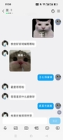 沧州母狗2