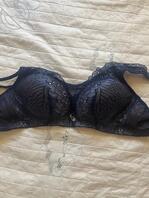 新疆绿母的可以交流一下或者互换！经验交流！2