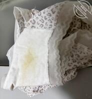 骚逼老婆内裤，原味1