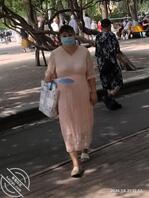 公园老头乐2