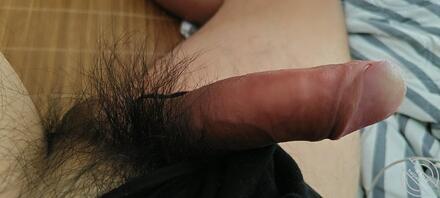 北海的来聊聊
