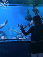 我用我的厚颜无耻把表弟和他的未婚妻小雅骗到酒店里操了