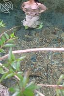 带老婆户外露出裸泳<2>1