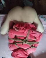 母狗捆绑