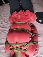 母狗捆绑2